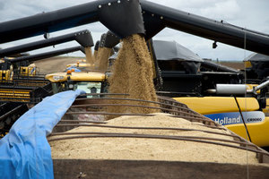 La empresa china Chongqing Grain Group tiene garantizado el acceso exclusivo a la producción de los agricultores de 200 mil hectáreas de tierra en Brasil. (Foto: Bloomberg)