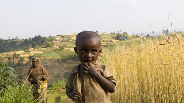 A girl and her mother in a wheat field in Rwanda, a country that relies on US farms for less than 1 percent of its food supply. Guenter Guni/iStock