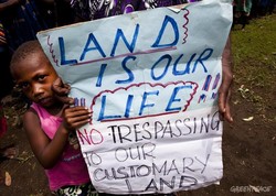 Communities in Papua New Guinea standing up against land 
grabs. Already 5.2 million hectares -- 10% of the entire country-- have 
been acquired by private companies. 