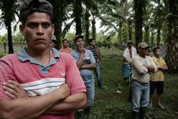 Peasants from the Bajo Aguán valley, Honduras, which is witnessing an alarming situation of violence and repression against peasant communities. On April 17, 2012, the International Day of Peasant Struggle, Honduran peasants started massive land occupations, with about 3000 farm families occupying more than 12,000 ha in at least six departments.  (Photo: CC HondurasBlog via Flickr)