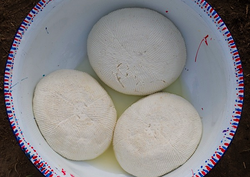 Fromages Wagashi fabriqués par des femmes Peules au Bénin. Dans la culture peule, les hommes s'occupent du bétail et les femmes s'occupent du lait. Les fromages Wagashi sont fabriqués d'une manière particulière qui leur permet de résister aux températures élevées de l'Afrique occidentale. Photo&nbsp;: Pulaku Project