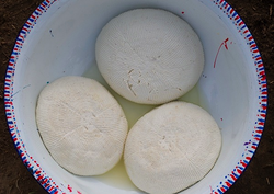 Fromages Wagashi fabriqués par des femmes Peules au Bénin. Dans la culture peule, les hommes s'occupent du bétail et les femmes s'occupent du lait. Les fromages Wagashi sont fabriqués d'une manière particulière qui leur permet de résister aux températures élevées de l'Afrique occidentale. Photo : Pulaku Project