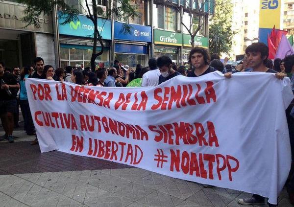 En Chile, los estudiantes, los campesinos y los consumidores han logrado evitar que el senado adopte la “ley Monsanto” que requeriría que el país se uniera UPOV 1991—que el ATP va a volver obligatorio.