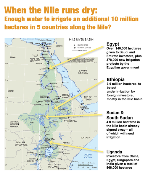FAO puts the irrigation potential of the entire Nile basin at 8 million hectares maximum 