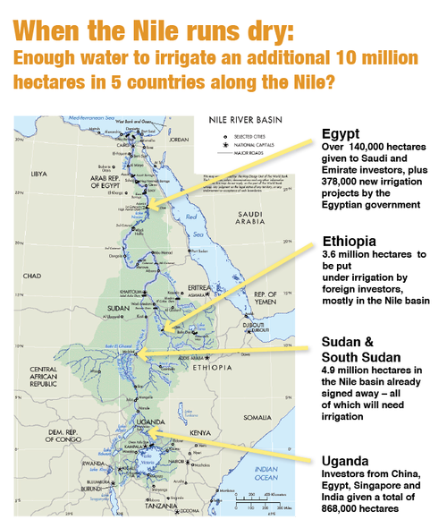 FAO puts the irrigation potential of the entire Nile basin at 8 million hectares maximum