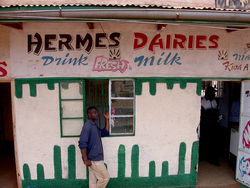 Un bar à lait au Kenya, qui sert du lait frais produit localement (Photo&nbsp;: ILRI/Elsworth).