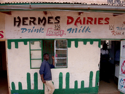 Un bar à lait au Kenya, qui sert du lait frais produit localement (Photo : ILRI/Elsworth).