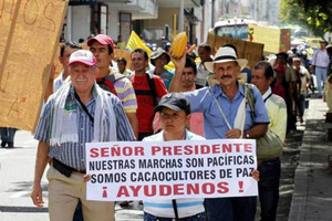 Mr President, our marches are peaceful. We are peaceful cocoa growers. Help us!