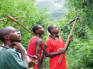 Bagyeli hunters (Photo: Mecenova)