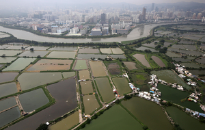 Développement urbain empiétant sur les terres agricoles en bordure de Shenzen, en Chine : combien de nourriture les petits agriculteurs pourraient-ils produire de plus s'ils n'étaient pas si opprimés ? (Photo&nbsp; : Robert Ng)