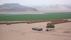 Campos de trigo en el desierto saudita. En enero de 2008, Arabia Saudita decidió reducir su producción de trigo en 12,5% al año, abandonando un antiguo programa a 30 años para producir por cuenta propia, habiendo alcanzado el autoabastecimiento al costo de vaciar las escasas fuentes de agua del desierto del reino. Arabia Saudita consume alrededor de 2,7 millones de toneladas de trigo al año. Foto: Planète à vendre (Planeta en Venta).