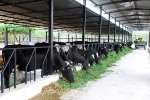 Private dairy companies are setting up vertically integrated supply chains, starting with their own mega farms. (Photo: Kompass India)