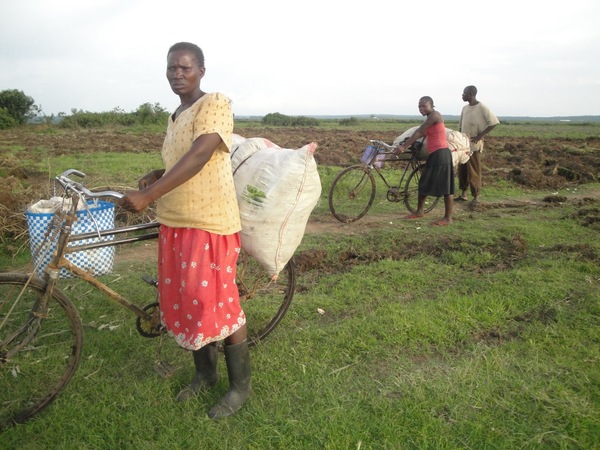 Yala Swamp (Photo: Janak Communications)