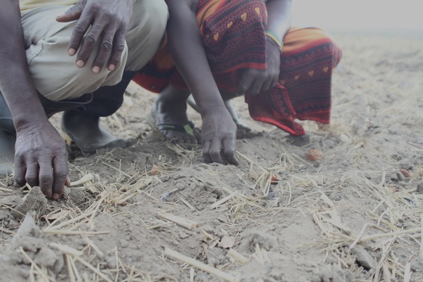 AgroMoz has evicted more than a thousand peasants at Wakhua, in Gurué district. (Photo: Erico Waga for GRAIN)