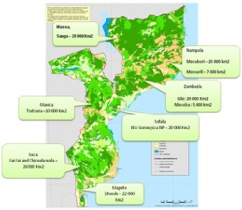 Areas donde una empresa de capital inglés pretiende “invertir” en  proyectos de REDD+ en Mozambique 