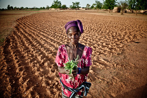 Suzanne Ouedraogo, une agricultrice du Burkina Faso&nbsp;: son gouvernement est exhorté à transformer et absorber les systèmes fonciers et agricoles coutumiers dans des marchés de type occidental. Qui en bénéficiera&nbsp;? (Photo&nbsp;: Pablo Tosco/Oxfam)