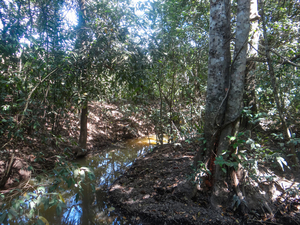 Un marais dans les basses terres près de Santa Filomena, Piauí, juillet 2015. Les membres des communautés locales disent qu'ils ont constaté une baisse importante des niveaux de l'eau au cours des dernières années. (Photo&nbsp;: Vicente Alves).