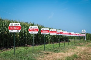 Drought-resistant corn hybrids on display at a DuPont Pioneer sales center near Cairo, Nebraska. (Mary Ann Andrei / New Republic)