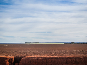 Zone de plateau déboisée pour la production de soja, Alto Parnaíba, Maranhão, juillet 2015. (Photo&nbsp;: Vicente Alves).