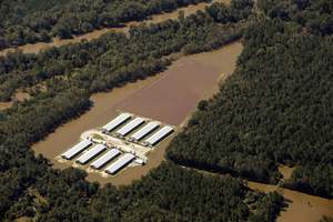 La viande industrielle non seulement contribue au changement climatique, mais elle est aussi très vulnérable en cas d’événement climatique extrême. (Photo : Rick Dove, Waterkeeper Alliance)