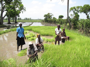 New "hard-core" initiatives to expand industrial agriculture are appearing (Photo: Salena Tramel/Grassroots International)