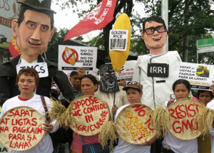 Farmers oppose Golden Rice, seeing as it will not benefit consumers and producers, but merely as a profit-making venture for giant agrochemical corporations. 