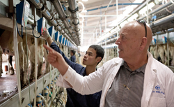 Inside the TH Milk farm in Vietnam, Barak Wittert, director.of the farm, instructs a local worker. Wittert has worked with the Israeli company Afimilk in setting up other large-scale dairy farms in Africa and the Middle East (Photo: Financial Times).