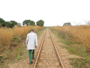 A member of the National Peasant's Union (UNAC) walking along the Nacala Corridor rail line, in Mecubúri District, Nampula Province, June 2012 (Photo: GRAIN)
