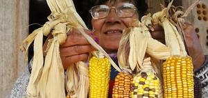 Ceferina Guerrero, one of the founders of Conamuri (<em>Coordinadora Nacional de Organizaciones de Mujeres Trabajadoras Rurales e Indígenas</em>).