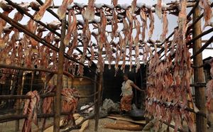 Des carcasses de poisson sèchent au soleil sur des piquets en bois dans un marché à Kisumu, au Kenya. Ces carcasses, appelées communément mgongo wazi, sont séchées au soleil et frites avant d’être vendues comme aliment bon marché. (Photo: REUTERS / Thomas)