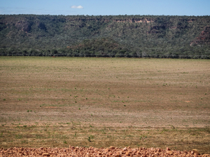 Zone de plateau défrichée pour la production de soja, Alto Parnaíba, Maranhão, juillet 2015. (Photo&nbsp;: Vicente Alves).