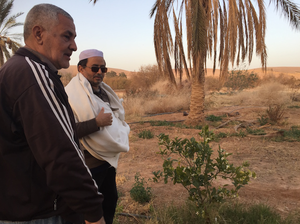 Ahmed dans sa palemeraie de Ghardaïa (Photo : Reporterre)