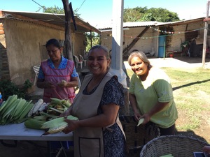 Choix du maïs pour faire des tamales avec du maïs natif, libre d’OGM, à San Isidro, Jalisco, au Mexique.
