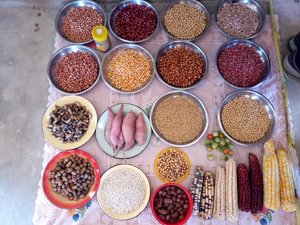 A variety of local seeds on display at a farmers' fair in Zimbabwe in 2017. Photo: Cheryl-Samantha Owen / Greenpeace Africa.