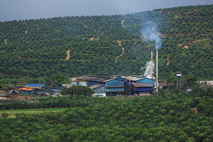 Palm oil mill in Malaysia (Photo: CEphoto, Uwe Aranas) 
