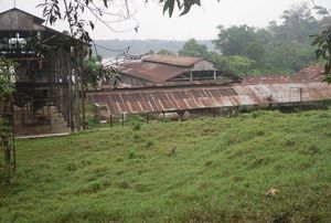 Fábrica de Unilever de Lokumete a 25 km de Lokutu en el río Congo (a 276 km de Kisangani, RDC) RIAO 2016
