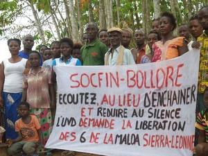 Le développement de l'agro-industrie est le principal objectif. (Photo : Des riverains des plantations de Socfin se mobilisent en Côte d'Ivoire) 