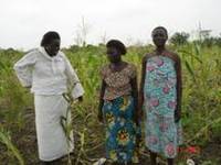 1. Avec les stratégies locales de conservation des semences traditionnelles, les paysans africainsÂ résistent aux multinationales : Cas du Sud-Ouest Bénin-image