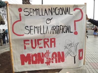 Lois sur les semences en Amérique latine : une offensive qui se poursuit et une résistance qui s'intensifie et se multiplie-image