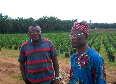Terres volées : des villageois nigérians veulent reprendre leurs terres à Wilmar-image