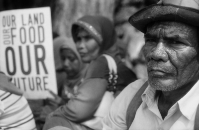 Relançando a destruição em Papua: projeto de agricultura monocultora ameaça terras e meios de subsistência indígenas-image