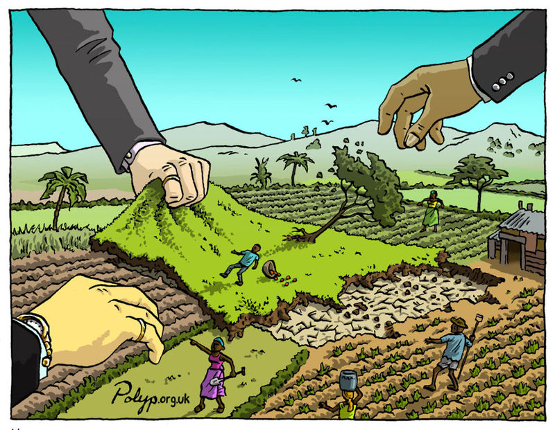 Grain Main Basse Sur Les Terres Agricoles En Pleine Crise Alimentaire Et Financiere