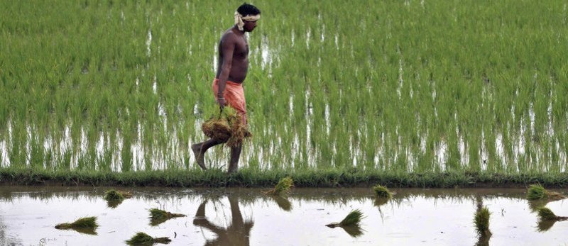 agriculteurs datant de l’Australie