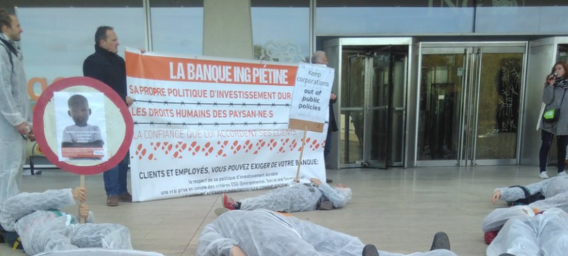 Grain Ing Finances Controversial Palm Oil Companies In Spite Of