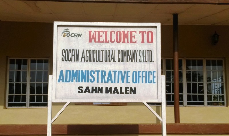 Grain Stop Land Grabbing By Socfin In Sierra Leone Stop The