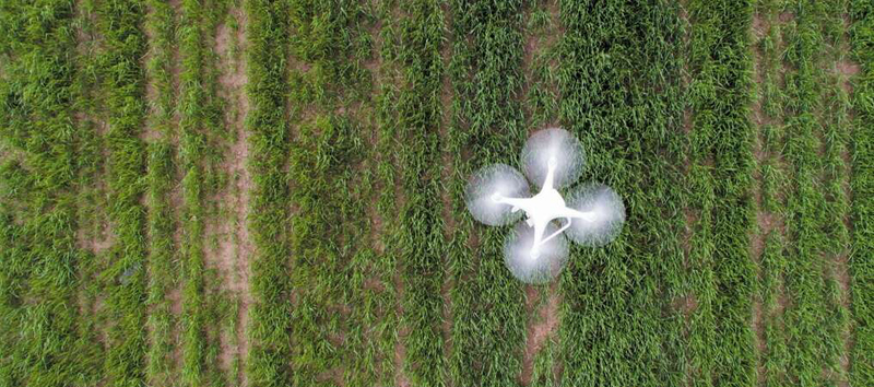 Grain Digitalization Of Agriculture What Are The Risks - 