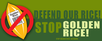 Open letter calling to stop Golden Rice in the Philippines and Bangladesh-image