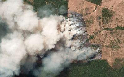 Burning the Amazon is a crime against humanity-image