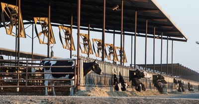 Step aside agribusiness, it's time for real solutions to the climate crisis-image