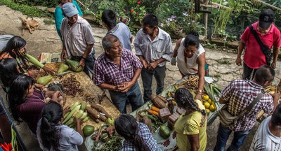 Citizens of the world oppose intellectual property over seeds, reclaim and restore local food systems and agricultural biodiversity-image